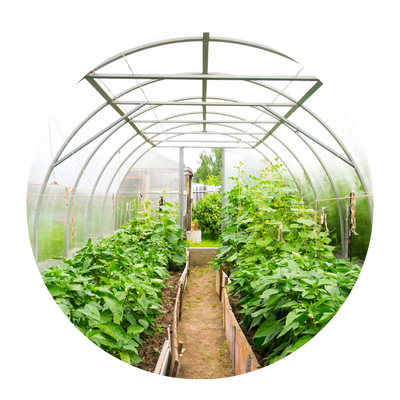 Horticulture Services